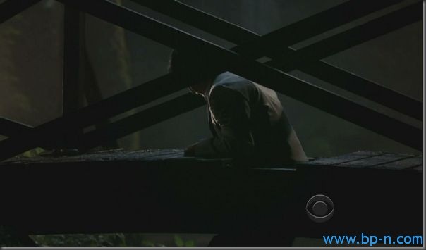 2009-04-10_072809 harry hamlin harpers island